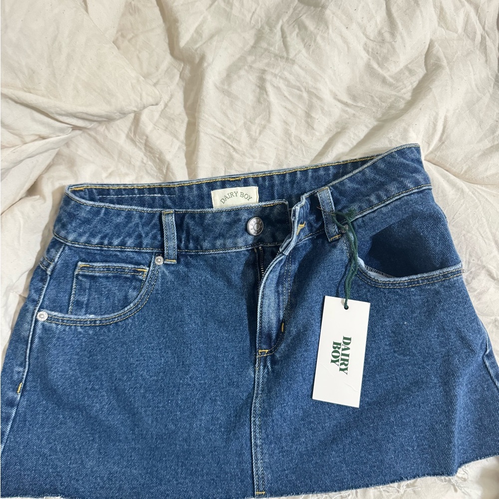 Daisy Boy Blue Denim Mini Skirt